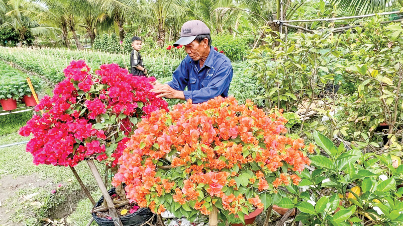 Kinh tế hoa kiểng