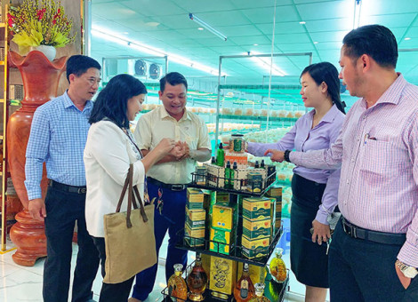 Khảo sát du lịch nông nghiệp, du lịch đường sông tại Phong Ðiền