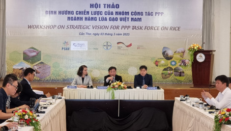 Thúc đẩy phát triển ngành hàng lúa gạo bền vững