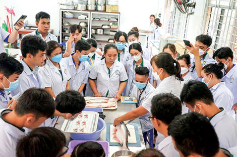 Những tín hiệu vui