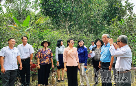 HĐND thành phố khảo sát các mô hình du lịch nông nghiệp tại quận Thốt Nốt