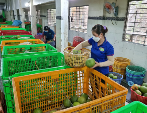 Thúc đẩy  số hóa truy xuất nguồn gốc nông sản