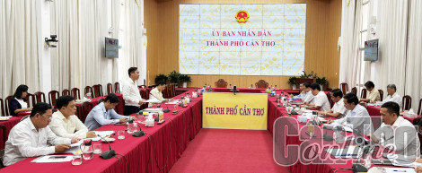 Đoàn đại biểu Quốc hội đơn vị thành phố giám sát việc thực hiện chính sách, pháp luật về phát triển năng lượng tại thành phố