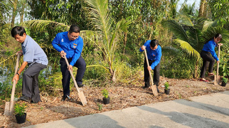 Sôi nổi các hoạt động tình nguyện trong Tháng Thanh niên