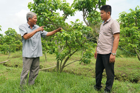 Kiên quyết đẩy lùi suy thoái