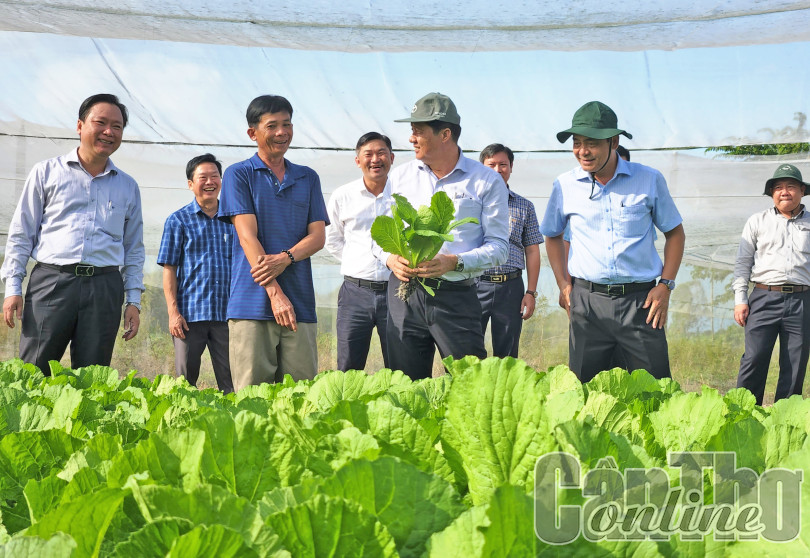 Lãnh đạo thành phố kiểm tra, khảo sát mô hình kinh tế và công trình, dự án tại quận Cái Răng