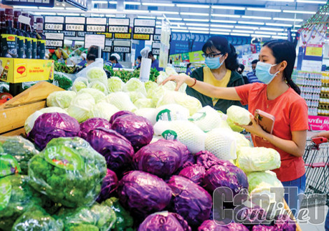 Vùng ÐBSCL và TP Hồ Chí Minh hợp tác phát triển