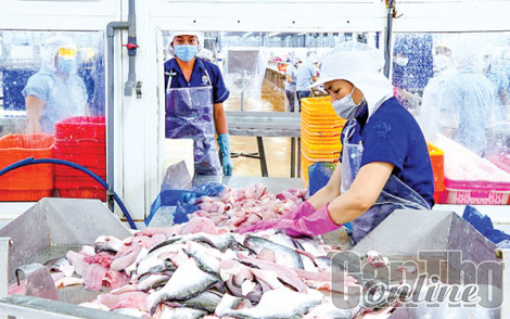 Doanh nghiệp hướng tới sản xuất xanh, sạch