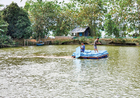 Nuôi trồng, khai thác thủy sản phù hợp yêu cầu thị trường
