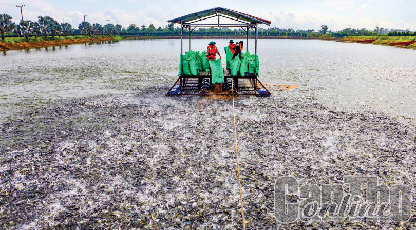 Phát huy lợi thế, tiềm năng phát triển thị trường xuất khẩu