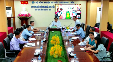 Kết nối giao thương, xúc tiến tiêu thụ hành, hành tím