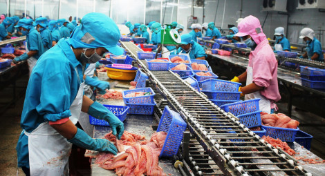 Nhiều dư địa xuất khẩu nông lâm thủy sản vào thị trường Trung Quốc