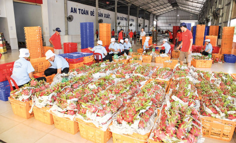 Khai thác tiềm năng dịch vụ để thúc đẩy tăng trưởng kinh tế