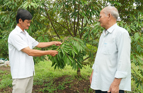 Hiện thực hóa Nghị quyết của Ðảng