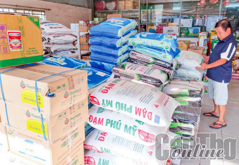 Giá phân bón giảm
