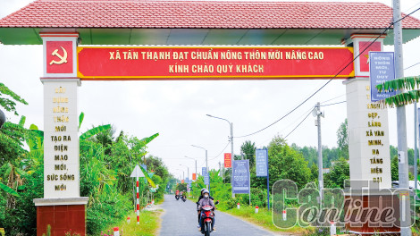 “Quả ngọt” nông thôn mới nâng cao ở Tân Thạnh