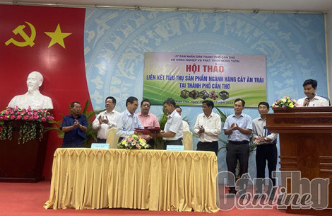 Liên kết tiêu thụ sản phẩm ngành hàng cây ăn trái TP Cần Thơ