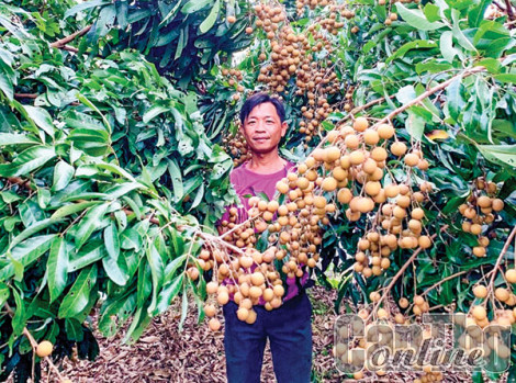 Hợp tác xã nông nghiệp phát huy vai trò trong xu thế mới