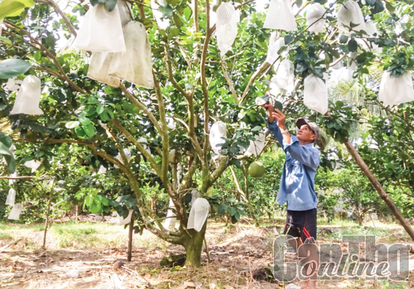 Đồng lòng xây dựng xã nông thôn mới nâng cao Xuân Thắng