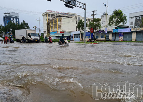 Ninh Kiều tăng cường công tác phòng, chống, ứng cứu thiệt hại do thiên tai