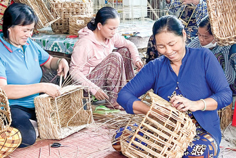 Câu chuyện đầm lầyBài 1: Cuộc đời mới của năn tượng
