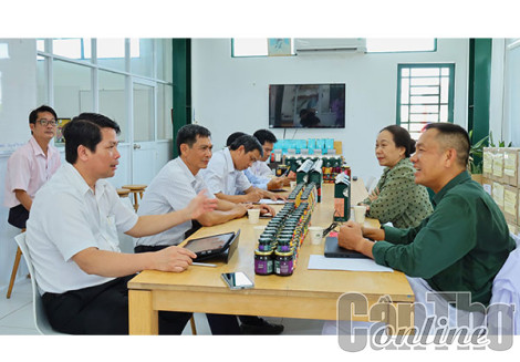 Hỗ trợ doanh nghiệp ổn định sản xuất kinh doanh
