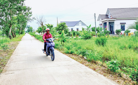 Làm giàu trên vùng “đất khó”