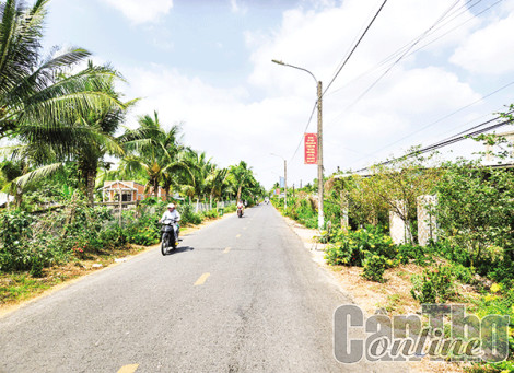 Hình mẫu xã nông thôn mới kiểu mẫu Ðịnh Môn