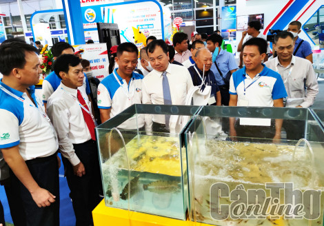 Hơn 200 gian hàng của 150 đơn vị, doanh nghiệp tham dự VietShrimp 2023