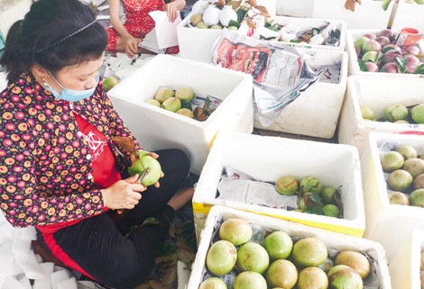 Nỗ lực hoàn thành “mục tiêu kép” trong xây dựng nông thôn mới