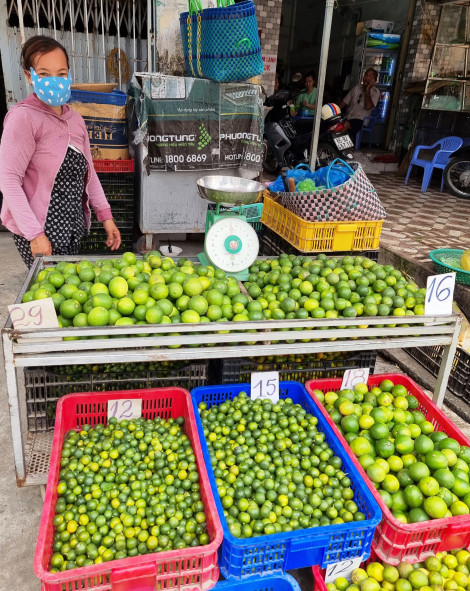 Chanh và tắc giảm giá