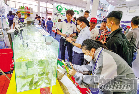 Ngành tôm hướng đến nâng cao chuỗi giá trị bền vững