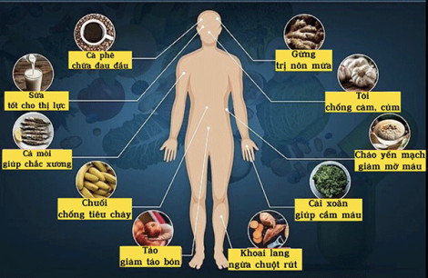 Sức mạnh chữa lành đặc biệt của từng thực phẩm