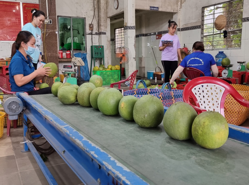 Tháo gỡ khó khăn, thúc đẩy phát triển công thương