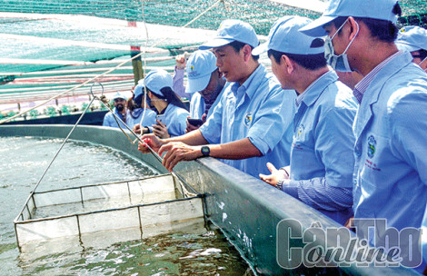 Giữ gìn hệ sinh thái tự nhiên, lan tỏa giá trị cộng đồng