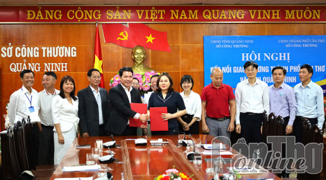 Kết nối giao thương Cần Thơ - Quảng Ninh
