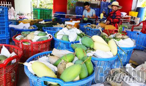 Dạo quanh thị trường