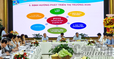 Thúc đẩy nâng cao giá trị và phát triển bền vững ngành hàng xoài