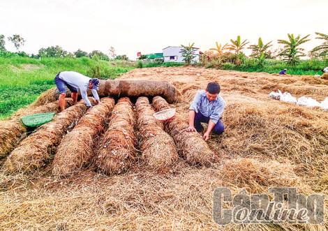 Cần các giải pháp đồng bộ trong quản lý rơm rạ