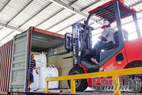Số doanh nghiệp thành lập mới tăng trở lại