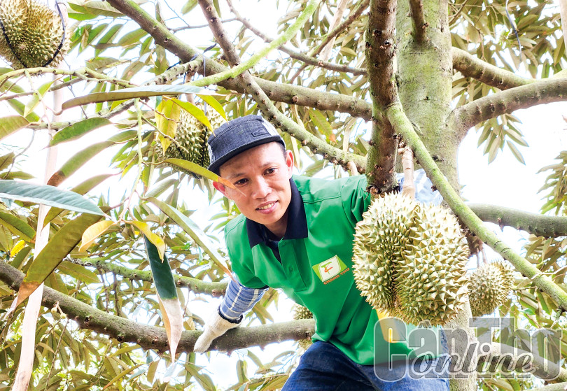 Thay đổi tư duy, tăng kết nối nâng tầm nông, thủy sản đồng bằng