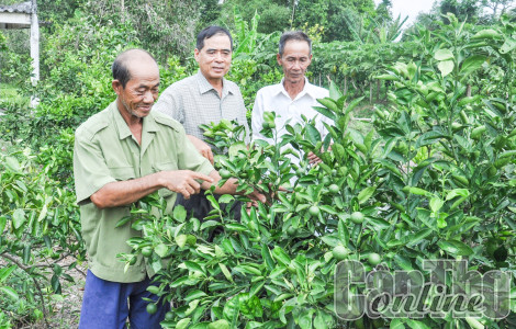Nhơn Nghĩa chuyển mình