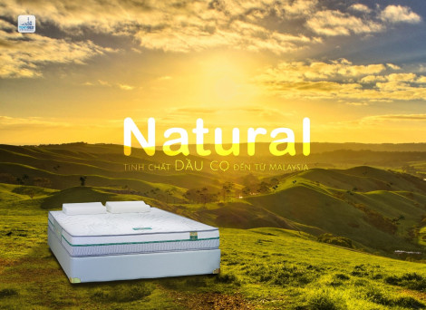 Nệm dầu cọ thiên nhiên – Chất liệu hướng đến cuộc sống xanh