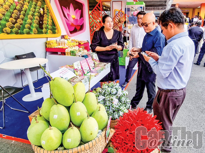 Để phát triển bền vững ngành hàng xoài