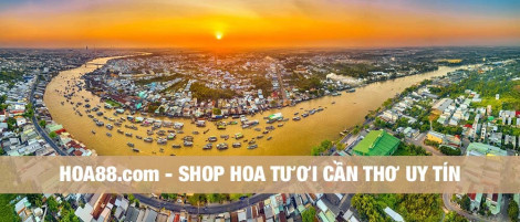 Hoa88.com – Shop hoa tươi Cần Thơ uy tín nhất