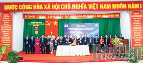 Tập trung công tác kiểm định chất lượng giáo dục