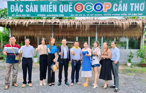 Bản tin Thị trường Việt Nam thăm hỏi doanh nghiệp - Kết nối giao thương tại Vĩnh Long và Cần Thơ