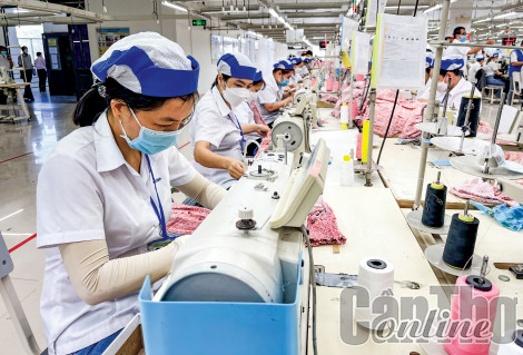 Triển khai Chiến lược phát triển ngành Dệt may và Da giày trên địa bàn thành phố