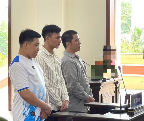 Hối hận muộn màng   