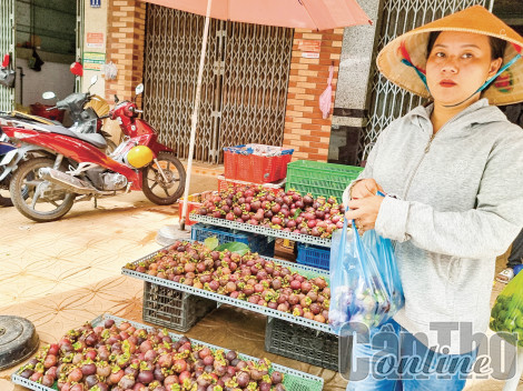 Đa dạng các kênh tiêu thụ cho trái măng cụt